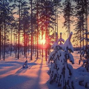 大人和女9孩做爰
